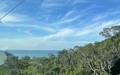 Explorer la Malaisie : entre modernité et traditions