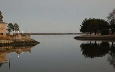 Remise en perspective